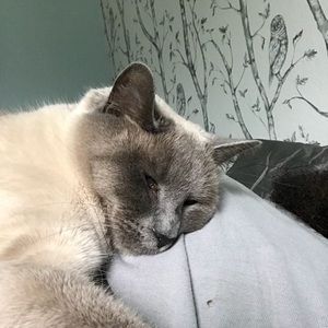 Meet your Posher, Andrew